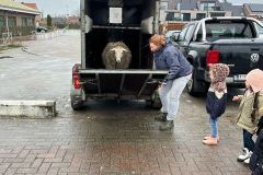 Afbeelding-van-WhatsApp-op-2024-03-12-om-10.34.06_0916f357