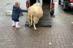 Afbeelding-van-WhatsApp-op-2024-03-12-om-10.34.09_a8edefd1