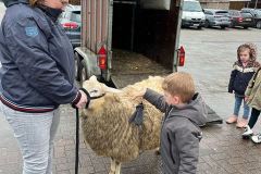 Afbeelding-van-WhatsApp-op-2024-03-12-om-10.34.12_2c689554