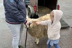 Afbeelding-van-WhatsApp-op-2024-03-12-om-10.34.13_c85b3b0e