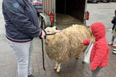 Afbeelding-van-WhatsApp-op-2024-03-12-om-10.34.14_9f8c0a8a