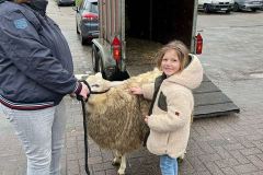 Afbeelding-van-WhatsApp-op-2024-03-12-om-10.34.15_7abc6095