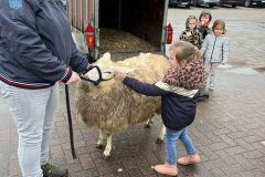 Afbeelding-van-WhatsApp-op-2024-03-12-om-10.34.18_97b427d4