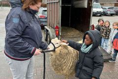 Afbeelding-van-WhatsApp-op-2024-03-12-om-10.34.19_ac494ba5