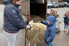 Afbeelding-van-WhatsApp-op-2024-03-12-om-10.34.19_c475ff6a