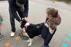 Afbeelding-van-WhatsApp-op-2024-03-12-om-10.35.56_6d6839de
