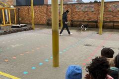 Afbeelding-van-WhatsApp-op-2024-03-12-om-10.35.56_df6cf17c