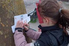 Afbeelding-van-WhatsApp-op-2024-03-01-om-18.48.57_d9d46c64