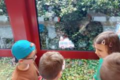 Afbeelding-van-WhatsApp-op-2024-03-01-om-18.49.37_969d589d