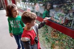Afbeelding-van-WhatsApp-op-2024-03-01-om-18.49.37_b50e5463