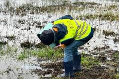 Afbeelding-van-WhatsApp-op-2024-02-22-om-19.29.08_21a86095