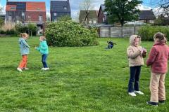 Afbeelding-van-WhatsApp-op-2024-04-18-om-12.06.55_74d56139