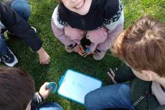 Afbeelding-van-WhatsApp-op-2024-04-18-om-12.08.30_0efdd0ac