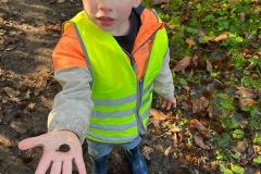 Afbeelding-van-WhatsApp-op-2024-10-23-om-13.11.55_368684ea