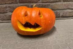 Afbeelding-van-WhatsApp-op-2024-10-18-om-15.14.38_ec8f1e3a