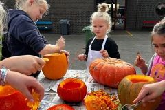 Afbeelding-van-WhatsApp-op-2024-10-18-om-15.15.30_7f389f39