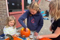 Afbeelding-van-WhatsApp-op-2024-10-18-om-15.25.44_7086b1cf