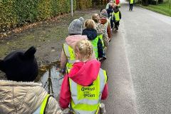 Afbeelding-van-WhatsApp-op-2024-11-12-om-19.49.24_d115886f