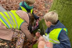 Afbeelding-van-WhatsApp-op-2024-11-07-om-12.57.31_d553703a