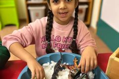 Afbeelding-van-WhatsApp-op-2025-01-09-om-10.07.44_ad8598cb