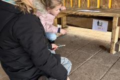 Afbeelding-van-WhatsApp-op-2025-02-17-om-14.45.20_df334d1c