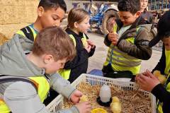 Afbeelding-van-WhatsApp-op-2025-03-27-om-22.40.28_0aecaa8b