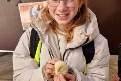 Afbeelding-van-WhatsApp-op-2025-03-27-om-22.40.28_cb886098