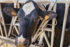 Afbeelding-van-WhatsApp-op-2025-03-27-om-22.40.33_d914a5b8