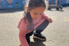 Afbeelding-van-WhatsApp-op-2025-03-20-om-15.02.30_889b0504