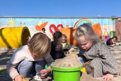 Afbeelding-van-WhatsApp-op-2025-03-20-om-15.02.36_e30ed04f