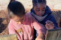 Afbeelding-van-WhatsApp-op-2025-03-19-om-13.36.22_6c325919