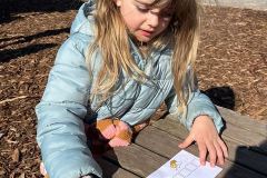Afbeelding-van-WhatsApp-op-2025-03-19-om-13.36.32_96f06745
