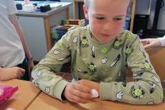 Afbeelding-van-WhatsApp-op-2025-03-10-om-15.08.46_1fbfcba1