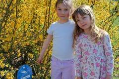 Afbeelding-van-WhatsApp-op-2025-04-03-om-14.46.55_4bbcaf27