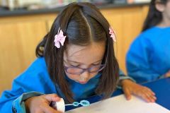 Afbeelding-van-WhatsApp-op-2025-05-13-om-17.32.43_4b18cf72