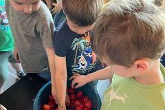 Afbeelding-van-WhatsApp-op-2025-05-12-om-16.01.46_4529375b