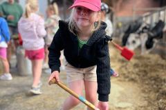 Afbeelding-van-WhatsApp-op-2025-06-03-om-11.05.02_74251966