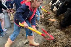 Afbeelding-van-WhatsApp-op-2025-06-03-om-11.06.04_d2ae4a30