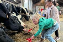 Afbeelding-van-WhatsApp-op-2025-06-03-om-11.06.12_ff10fb27