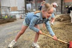 Afbeelding-van-WhatsApp-op-2025-06-03-om-11.06.24_4591df08