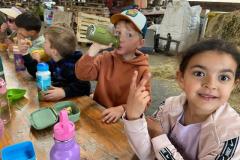 Afbeelding-van-WhatsApp-op-2025-06-03-om-12.39.38_0ce5805e