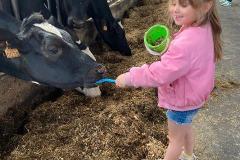 Afbeelding-van-WhatsApp-op-2025-06-03-om-12.39.39_cf87643c