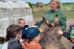 Afbeelding-van-WhatsApp-op-2025-06-03-om-12.39.40_384e4497
