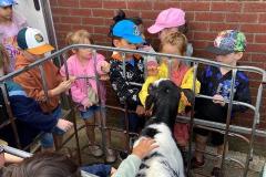 Afbeelding-van-WhatsApp-op-2025-06-03-om-12.39.40_4d5a06f1