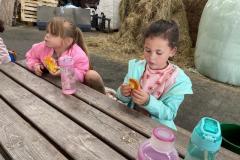 Afbeelding-van-WhatsApp-op-2025-06-03-om-12.39.41_0efe4e0d