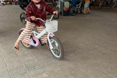 Afbeelding-van-WhatsApp-op-2025-06-24-om-17.39.39_a9f5114c