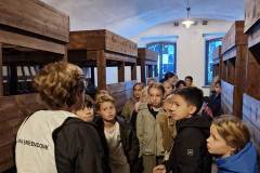 Afbeelding-van-WhatsApp-op-2025-10-03-om-12.52.00_62c6f271