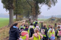 Afbeelding-van-WhatsApp-op-2025-10-16-om-10.36.20_8d811c85