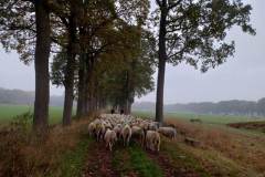 Afbeelding-van-WhatsApp-op-2025-10-16-om-10.37.43_3a035090