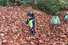 Afbeelding-van-WhatsApp-op-2025-10-22-om-13.37.35_0e881f51